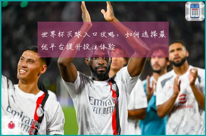 世界杯买球入口攻略，如何选择最优平台提升投注体验