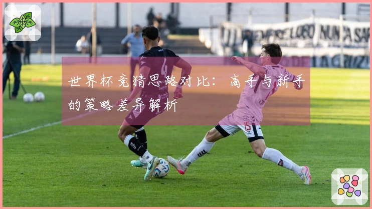 世界杯竞猜思路对比：高手与新手的策略差异解析