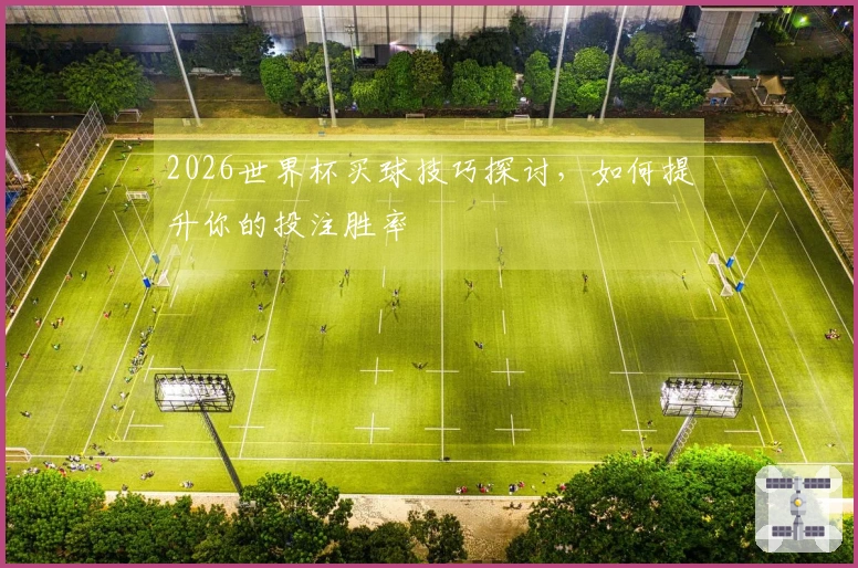 2026世界杯买球技巧探讨，如何提升你的投注胜率