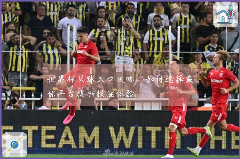 世界杯买球入口攻略，如何选择最优平台提升投注体验